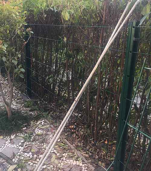 桃形柱護欄網(wǎng)價格 桃形柱護欄網(wǎng)價格