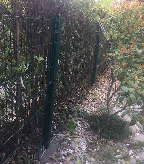 桃形柱護欄網(wǎng) 桃形柱護欄網(wǎng)